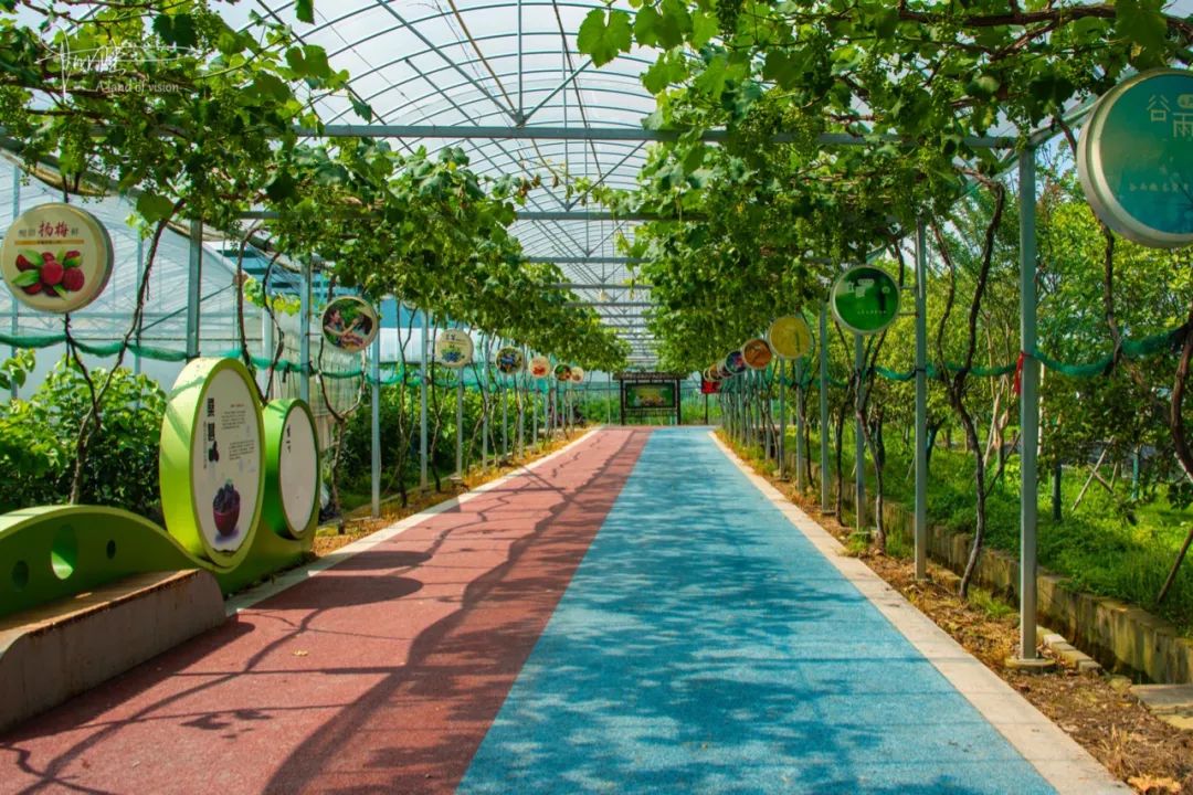 走进大通农场,感受"生态农业观光园"的独特魅力__财经头条