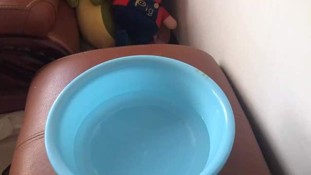 上海白蚁爆发，刘畊宏都边直播边打，放盆水白蚁就自杀是啥原理？休闲区蓝鸢梦想 - Www.slyday.coM