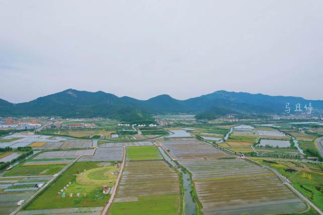 其他旅遊打卡地:海濱公園,展茅幹施岙村,青石子度假莊園,舟山海鮮市場