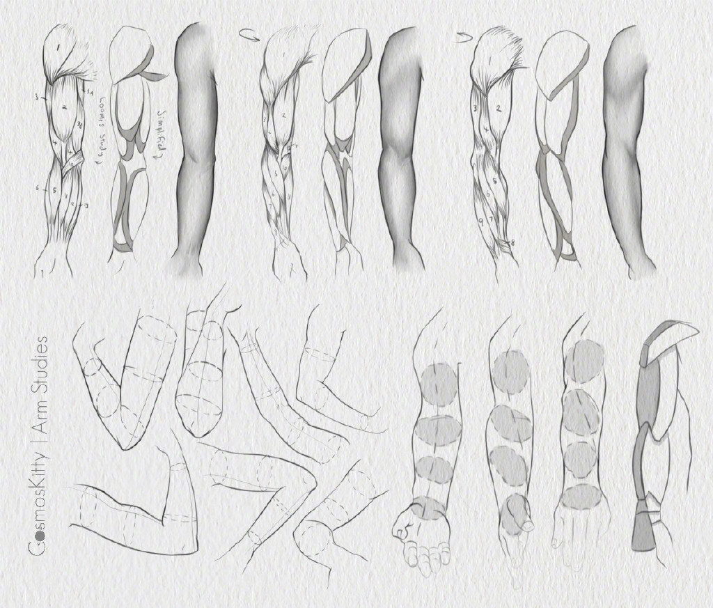 一些手臂的绘制练手素材