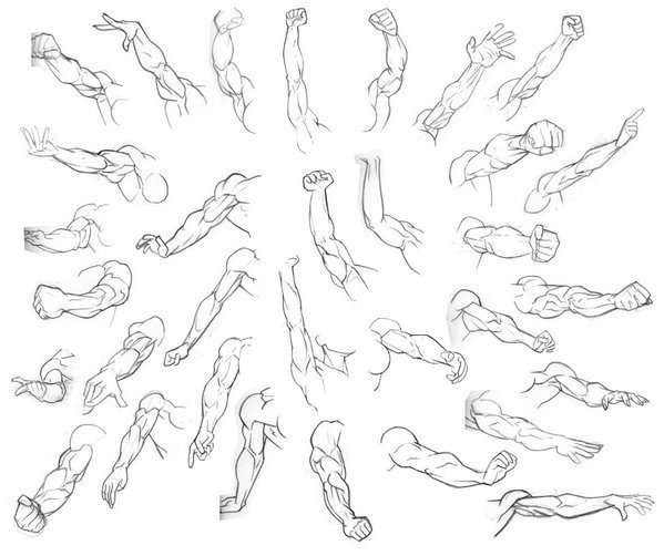 一些手臂的绘制练手素材