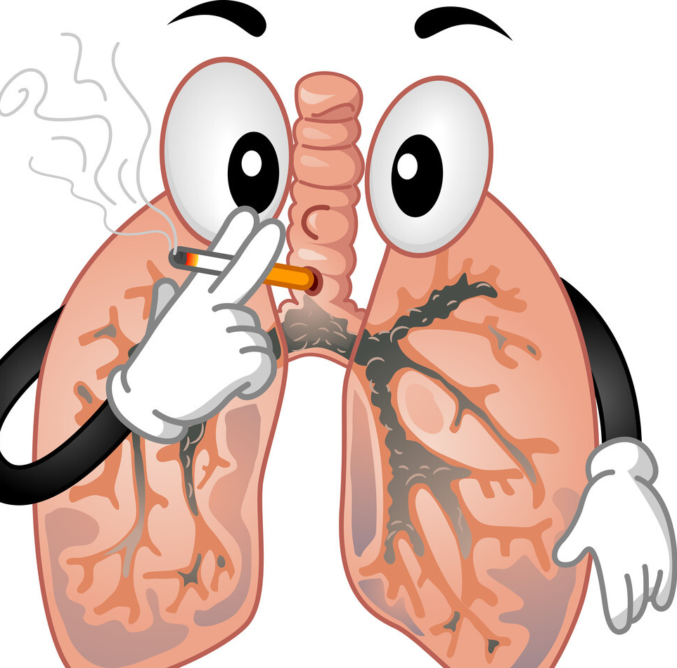 对于长期吸烟的人群,预防心血管风险,应该注意定期去检查血压,血脂