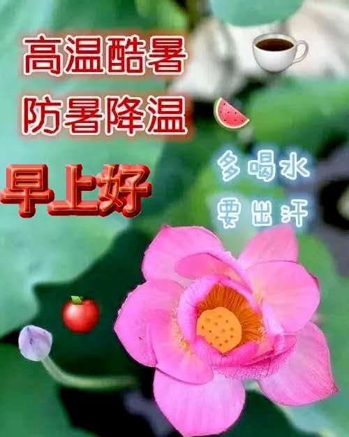 夏天最美早安祝福语图片带字温馨2022年漂亮早上好问候动态图片