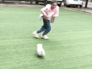 捡了一只小奶狗，3天后狗妈妈上门要孩子，主人却不想还了休闲区蓝鸢梦想 - Www.slyday.coM