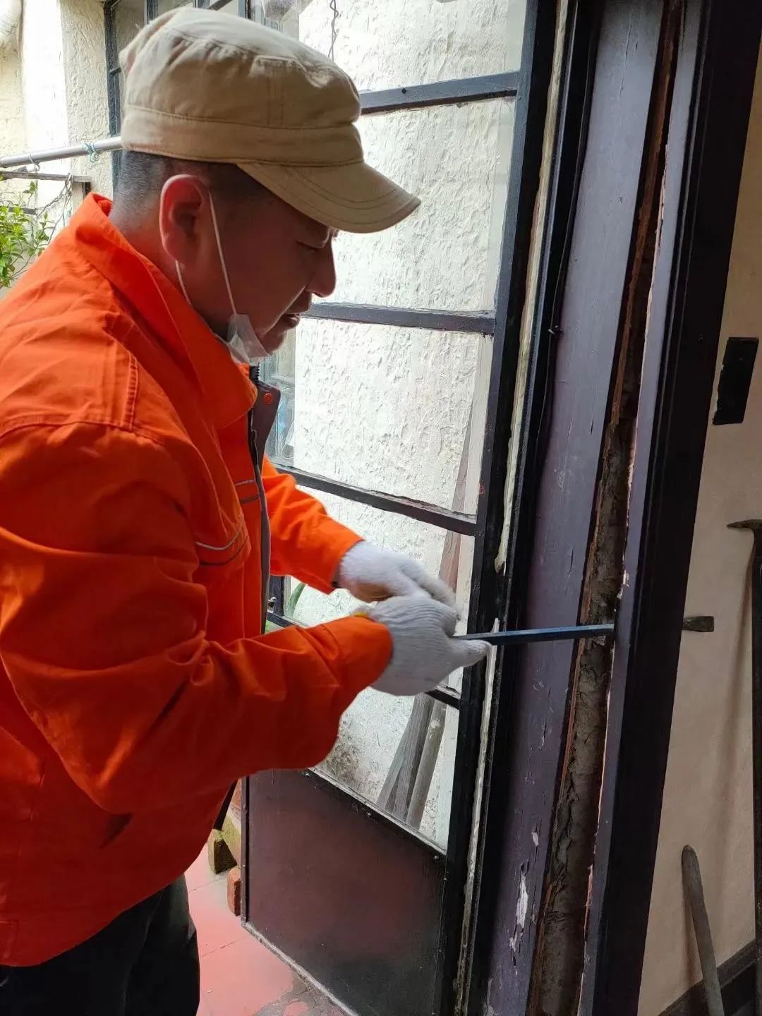 “上海白蚁”冲上热搜，当地回应：疫情导致错过最佳蚊蝇控制时期休闲区蓝鸢梦想 - Www.slyday.coM