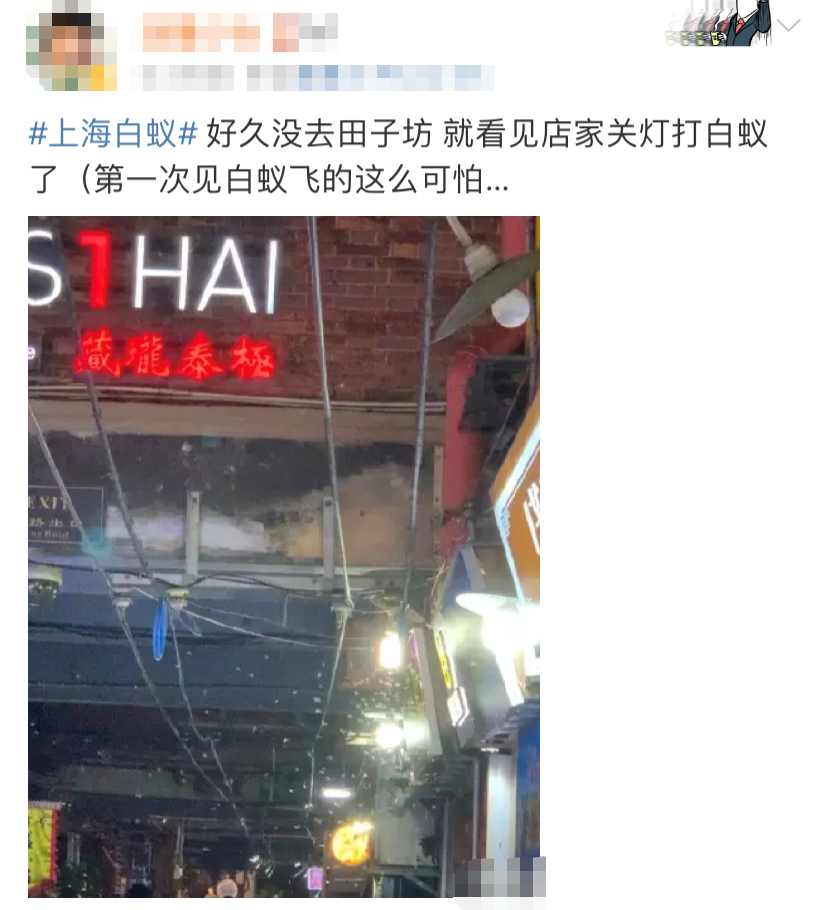 密恐慎入！“上海白蚁”冲上热搜！休闲区蓝鸢梦想 - Www.slyday.coM