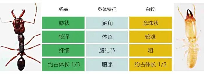 来源:上海疾控