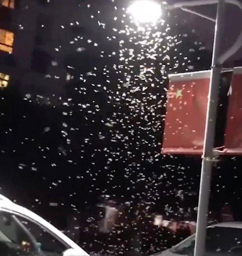 热闻｜上海局地遭白蚁侵袭，刘畊宏也直播“打白蚁”！如何防治？休闲区蓝鸢梦想 - Www.slyday.coM