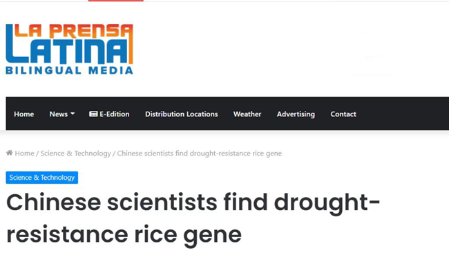 全国科技工作者日休闲区蓝鸢梦想 - Www.slyday.coM