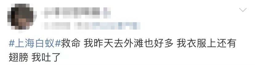 密恐慎入！“上海白蚁”冲上热搜！休闲区蓝鸢梦想 - Www.slyday.coM