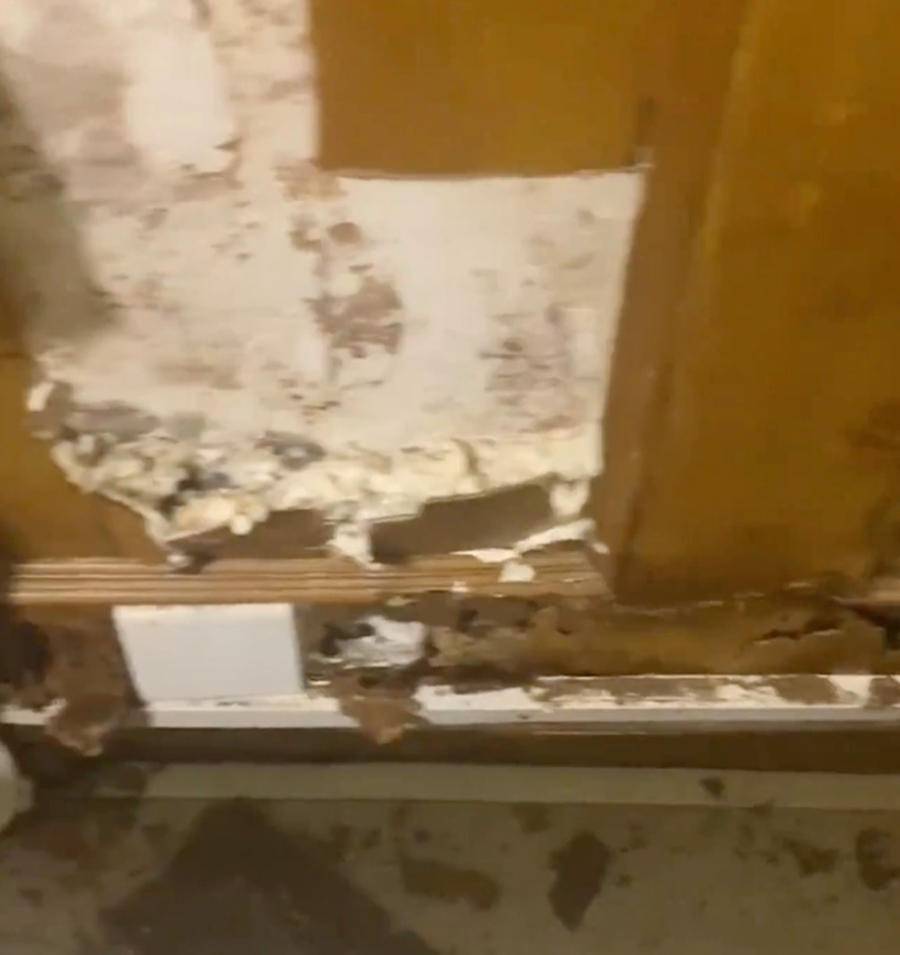 热闻｜上海局地遭白蚁侵袭，刘畊宏也直播“打白蚁”！如何防治？休闲区蓝鸢梦想 - Www.slyday.coM