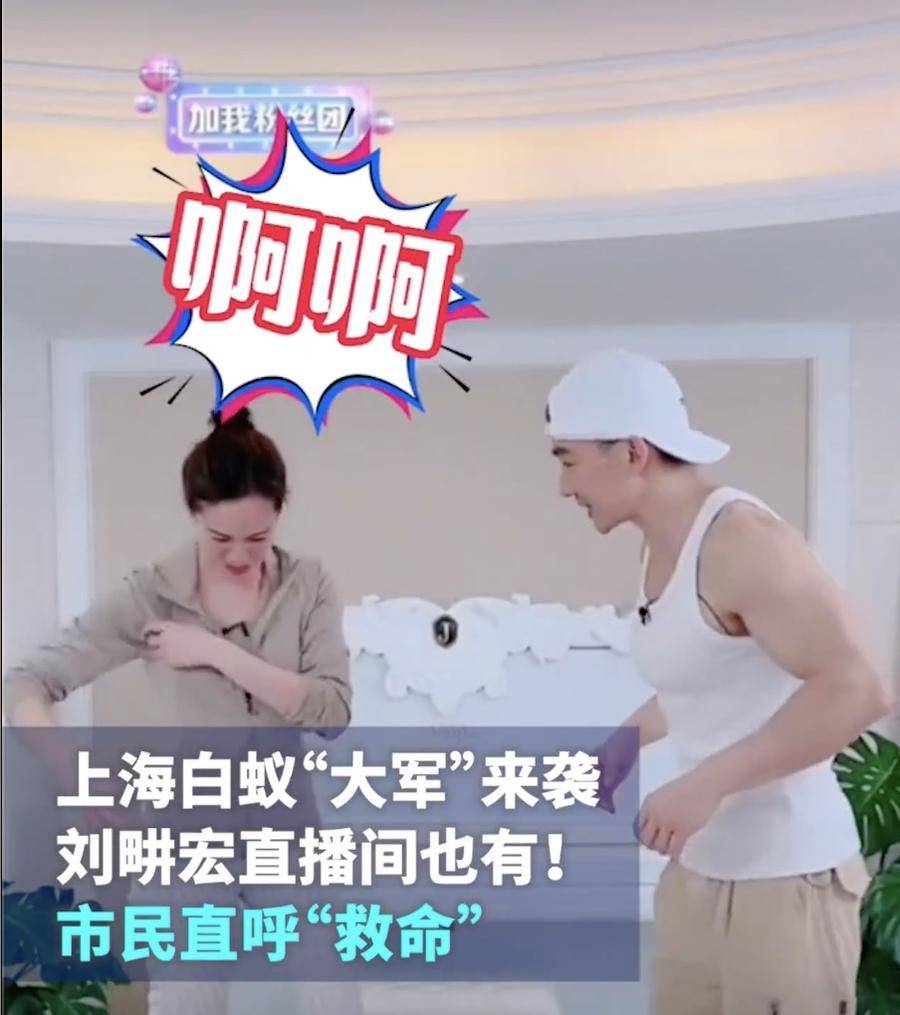 热闻｜上海局地遭白蚁侵袭，刘畊宏也直播“打白蚁”！如何防治？休闲区蓝鸢梦想 - Www.slyday.coM