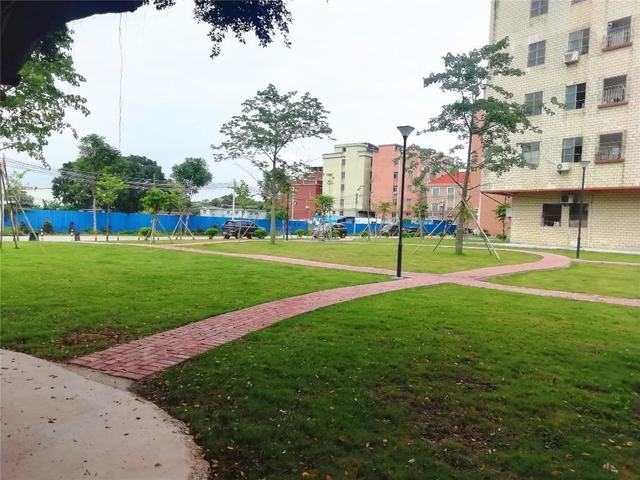 如今在高埗镇低涌村,可以看到一个个便民,利民的口袋公园,健身区,公共