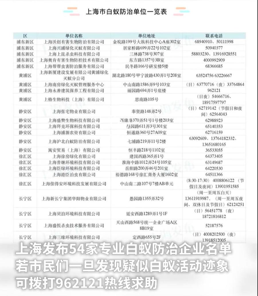 热闻｜上海局地遭白蚁侵袭，刘畊宏也直播“打白蚁”！如何防治？休闲区蓝鸢梦想 - Www.slyday.coM