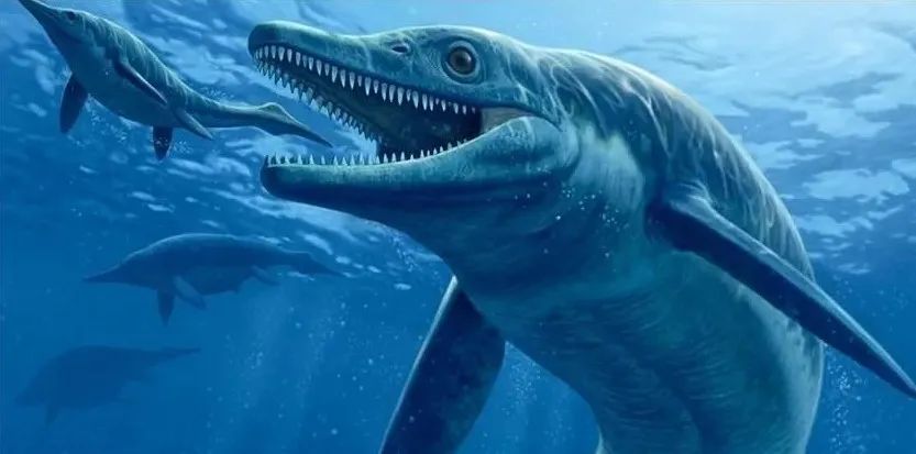 一只屎量占身体80%的蜥蜴，生物学家：它是怎么活下...