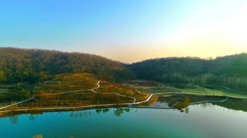 肥西紫蓬镇打造以产业兴城镇以城镇促发展战略新格局