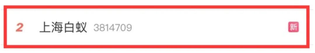 密恐慎入！“上海白蚁”冲上热搜！休闲区蓝鸢梦想 - Www.slyday.coM