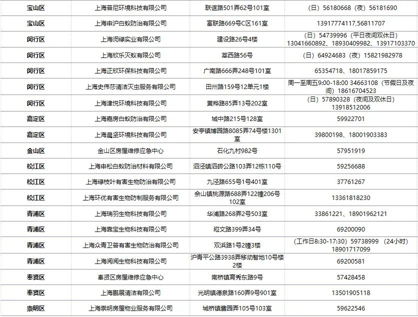 “上海白蚁”冲上热搜，当地回应：疫情导致错过最佳蚊蝇控制时期休闲区蓝鸢梦想 - Www.slyday.coM