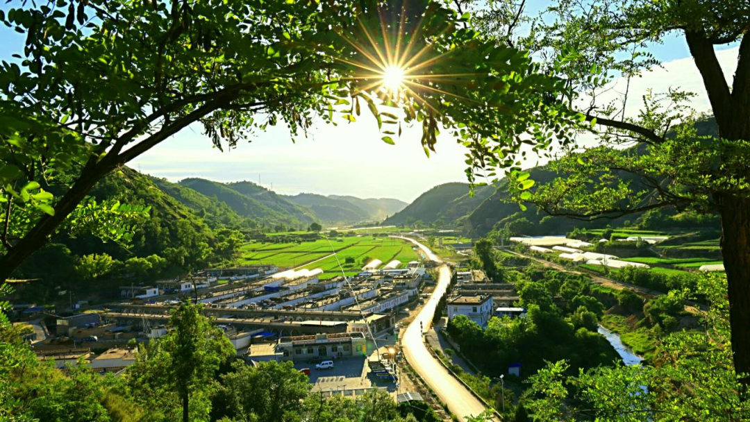 安定镇廖公桥村四抓四强促四新描绘乡村振兴新画卷