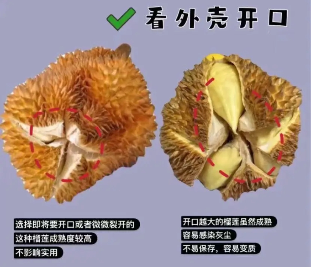 买榴莲就选母的肉多皮薄牢记4个小技巧老板都夸你内行