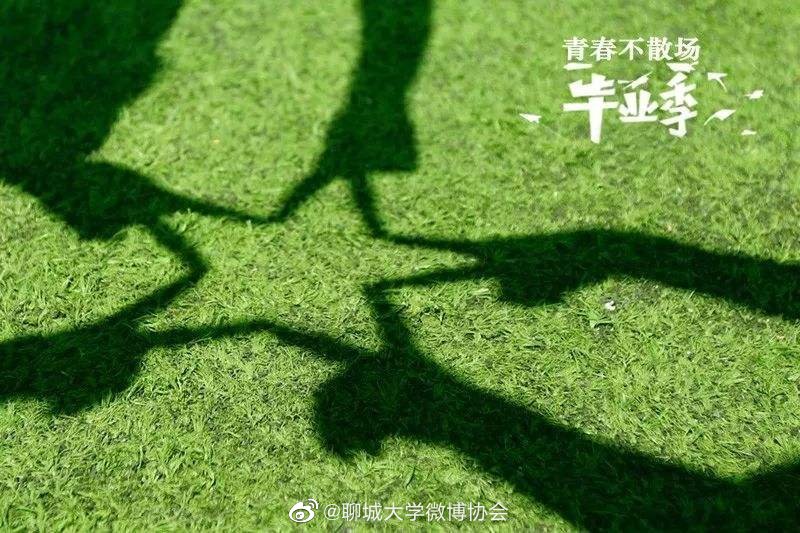 TFBOYS的歌与毕业季的适配度休闲区蓝鸢梦想 - Www.slyday.coM