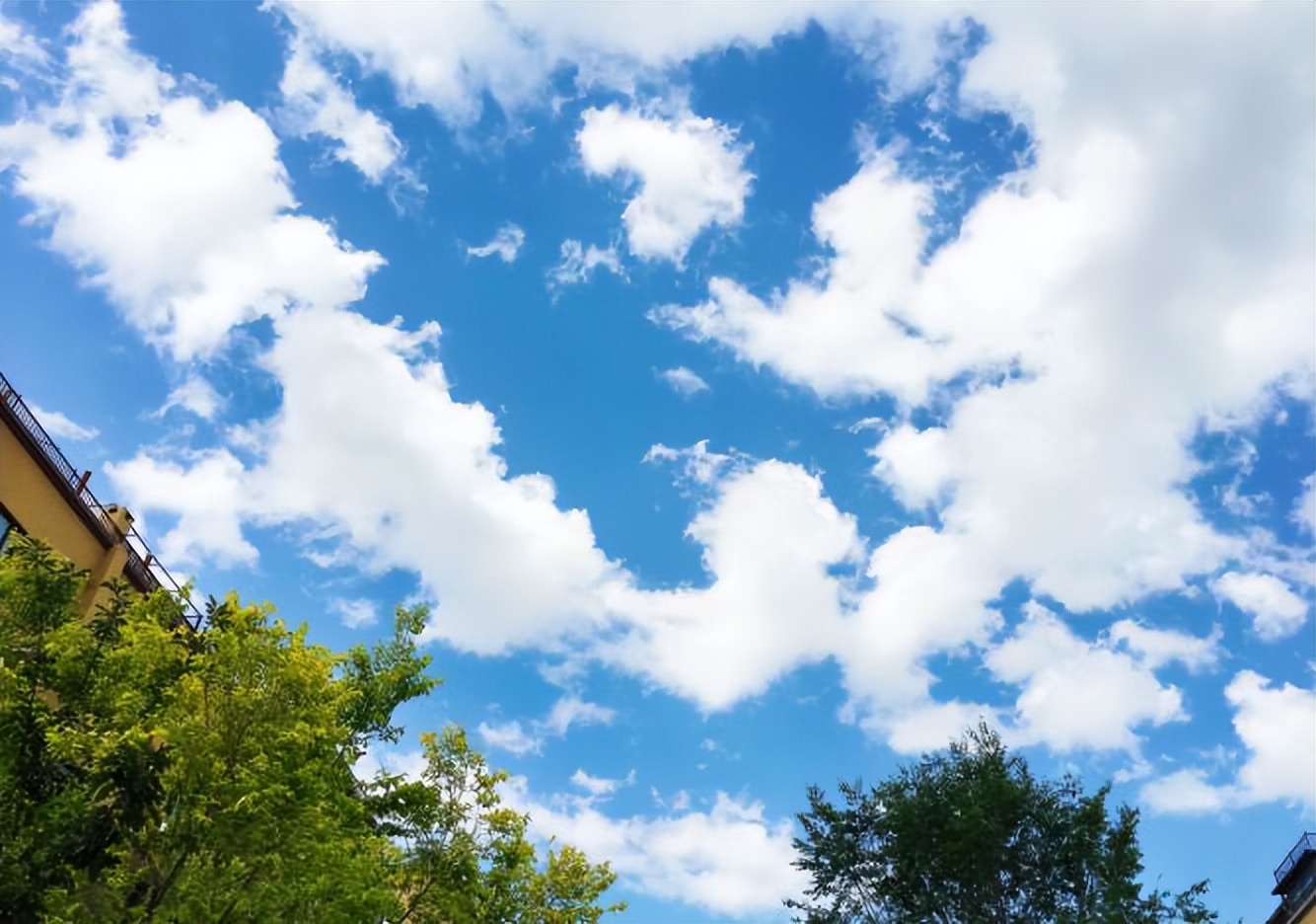 四平官宣两次未核酸检测拘留罚款纳入失信名单,不久就承认错误了休闲区蓝鸢梦想 - Www.slyday.coM 四平官宣两次未核酸检测拘留罚款纳入失信名单,不久就承认错误了休闲区蓝鸢梦想 - Www.slyday.coM