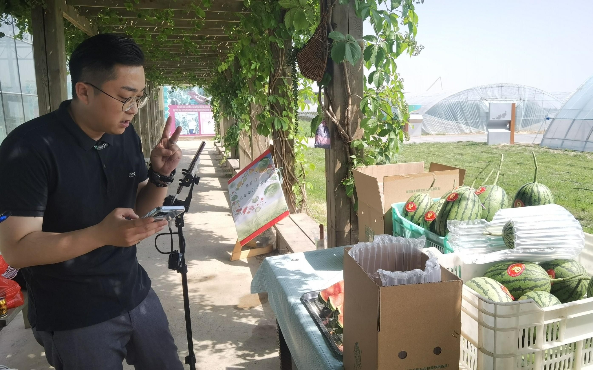 疫情之下采摘游客少大兴西瓜如何保持畅销