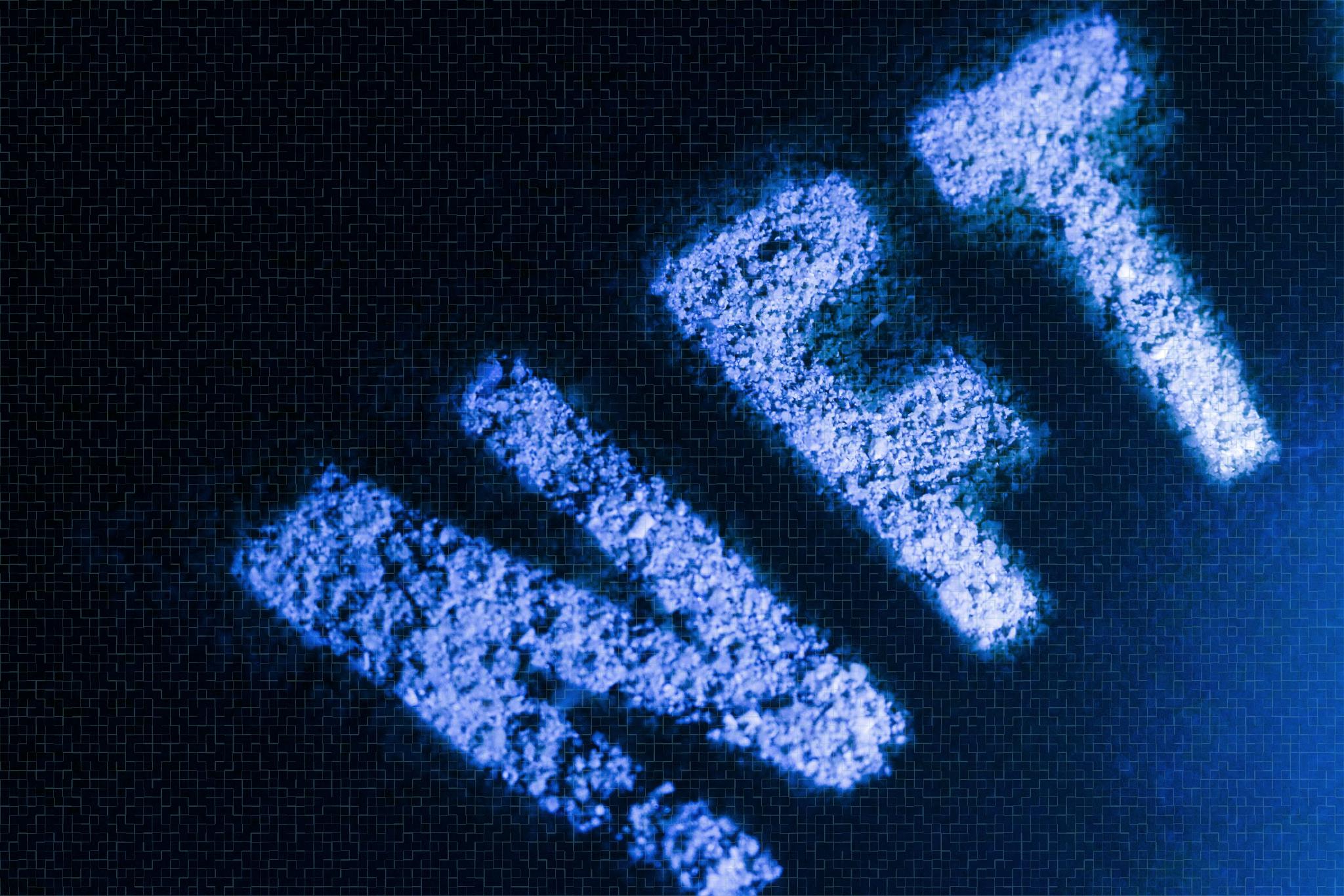 腾讯旗下幻核被指未获授权发行徐悲鸿数字藏品，律师：可能侵犯其信息网络传播权