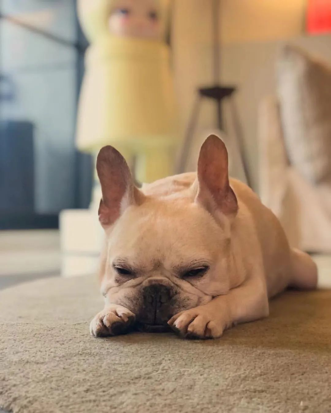 39岁王心凌爆红！看了她的家，才知道为什么全网男生都迷恋她休闲区蓝鸢梦想 - Www.slyday.coM