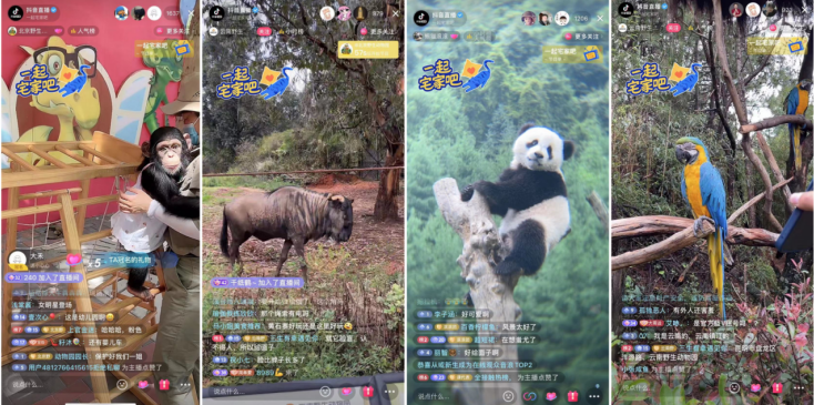 (抖音直播画面)通过线上直播,网友们感受到了和线下游玩完全不同的