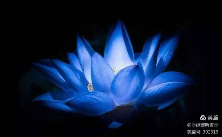 青未了休闲区蓝鸢梦想 - Www.slyday.coM