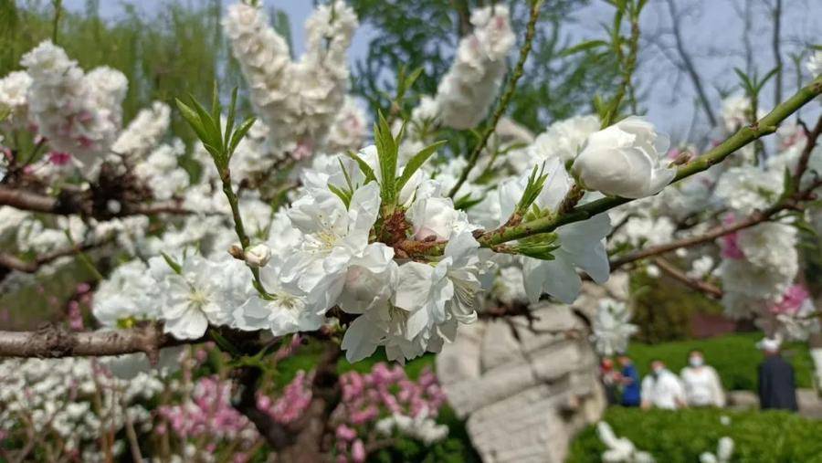 孔子不是演讲大师，说的这三句话却让人特别服气休闲区蓝鸢梦想 - Www.slyday.coM
