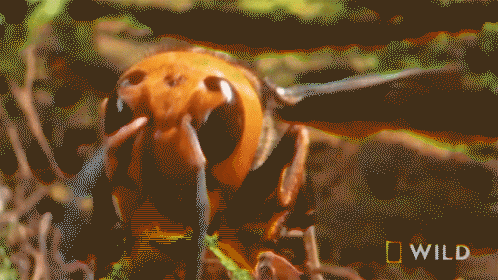 【奇怪知识】世界上最大最高的门，比自由女神像还高休闲区蓝鸢梦想 - Www.slyday.coM