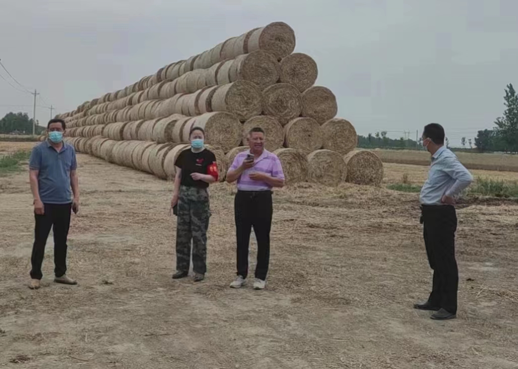 河南省正阳县兰青乡秸秆变废为宝经济生态双赢