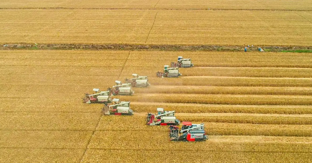 大型农机开进去,轻松搞定几十亩地|农业机械化|机械化|农机_新浪新闻