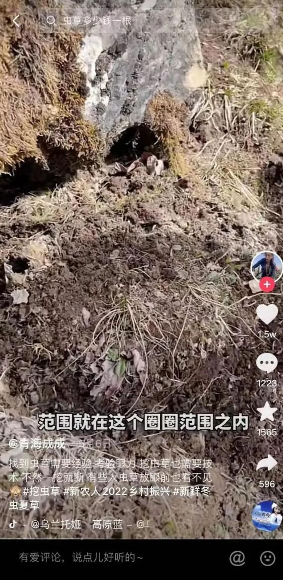 短视频平台上，有许多划圈让网友找虫草的视频