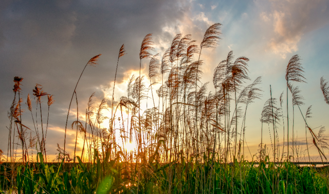 西安人身边的湿地，美得不像话休闲区蓝鸢梦想 - Www.slyday.coM