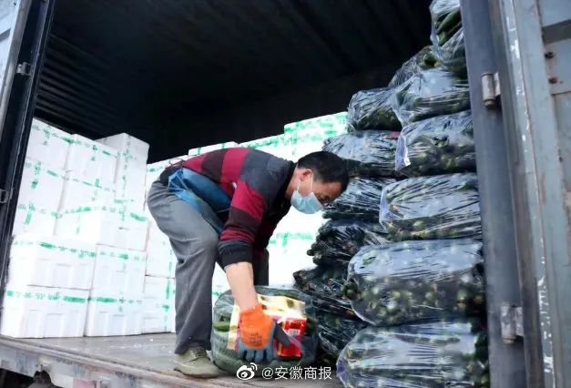 上海回来了！那些让人热泪盈眶的瞬间，应该被铭记！休闲区蓝鸢梦想 - Www.slyday.coM