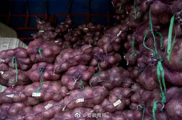 上海回来了！那些让人热泪盈眶的瞬间，应该被铭记！休闲区蓝鸢梦想 - Www.slyday.coM