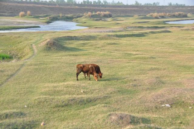 西安人身边的湿地，美得不像话休闲区蓝鸢梦想 - Www.slyday.coM