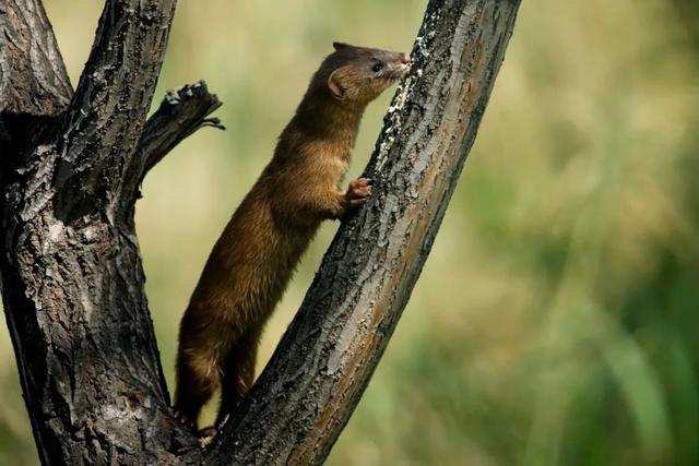 西安人身边的湿地，美得不像话休闲区蓝鸢梦想 - Www.slyday.coM