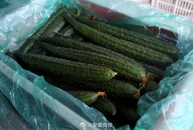 上海回来了！那些让人热泪盈眶的瞬间，应该被铭记！休闲区蓝鸢梦想 - Www.slyday.coM