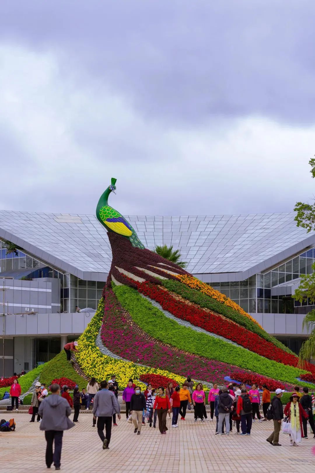 昆明世博园免费啦