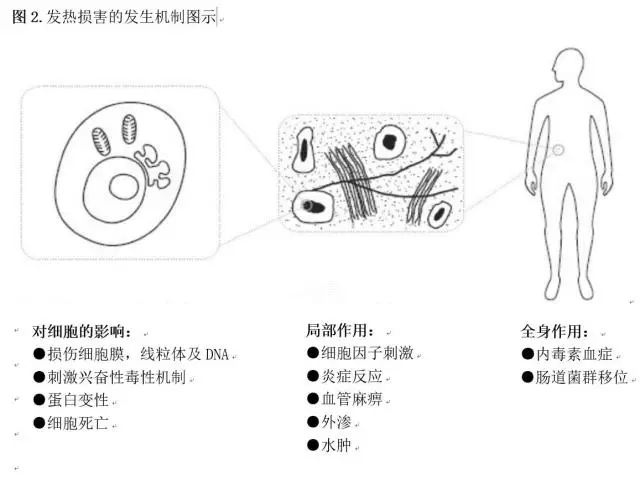 分类如下(图2):发热对机体损害的发生机制有报道称,嗜铬细胞瘤的住院