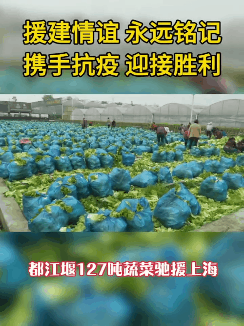 上海回来了！那些让人热泪盈眶的瞬间，应该被铭记！休闲区蓝鸢梦想 - Www.slyday.coM