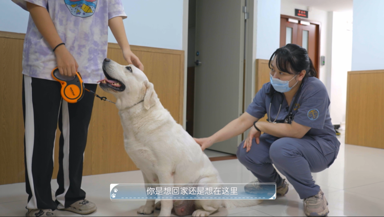 医生暖文小说排行榜_暖文苏北人民医院医护人员用暖心之举让寒冬不再冷(2)