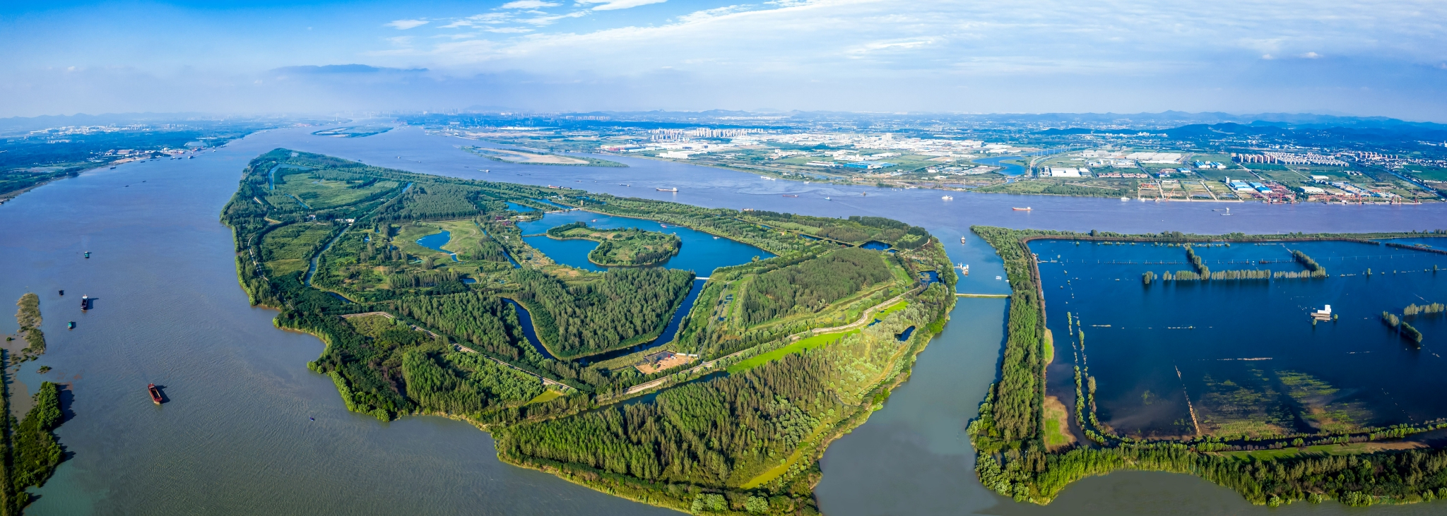 伟大变革|人退鱼鸟归 新济洲的蝶变|长江|南京市|鱼_新浪新闻