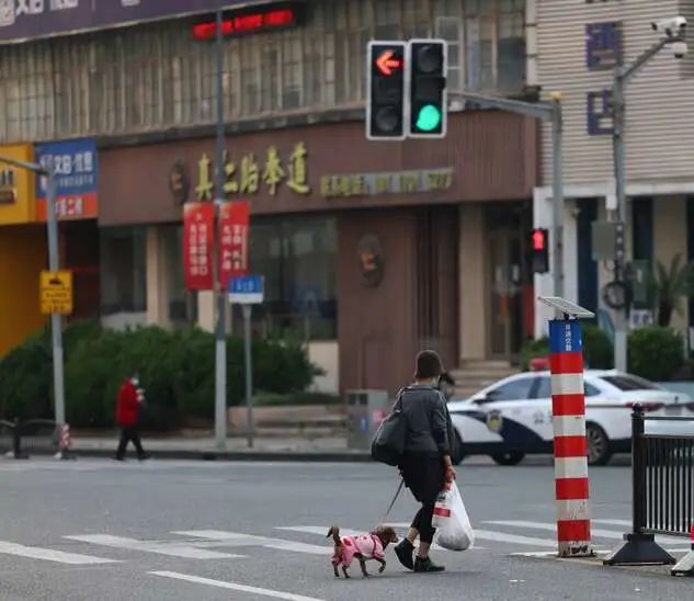 电话亭女士和她的小狗 参考府上：中国后生报