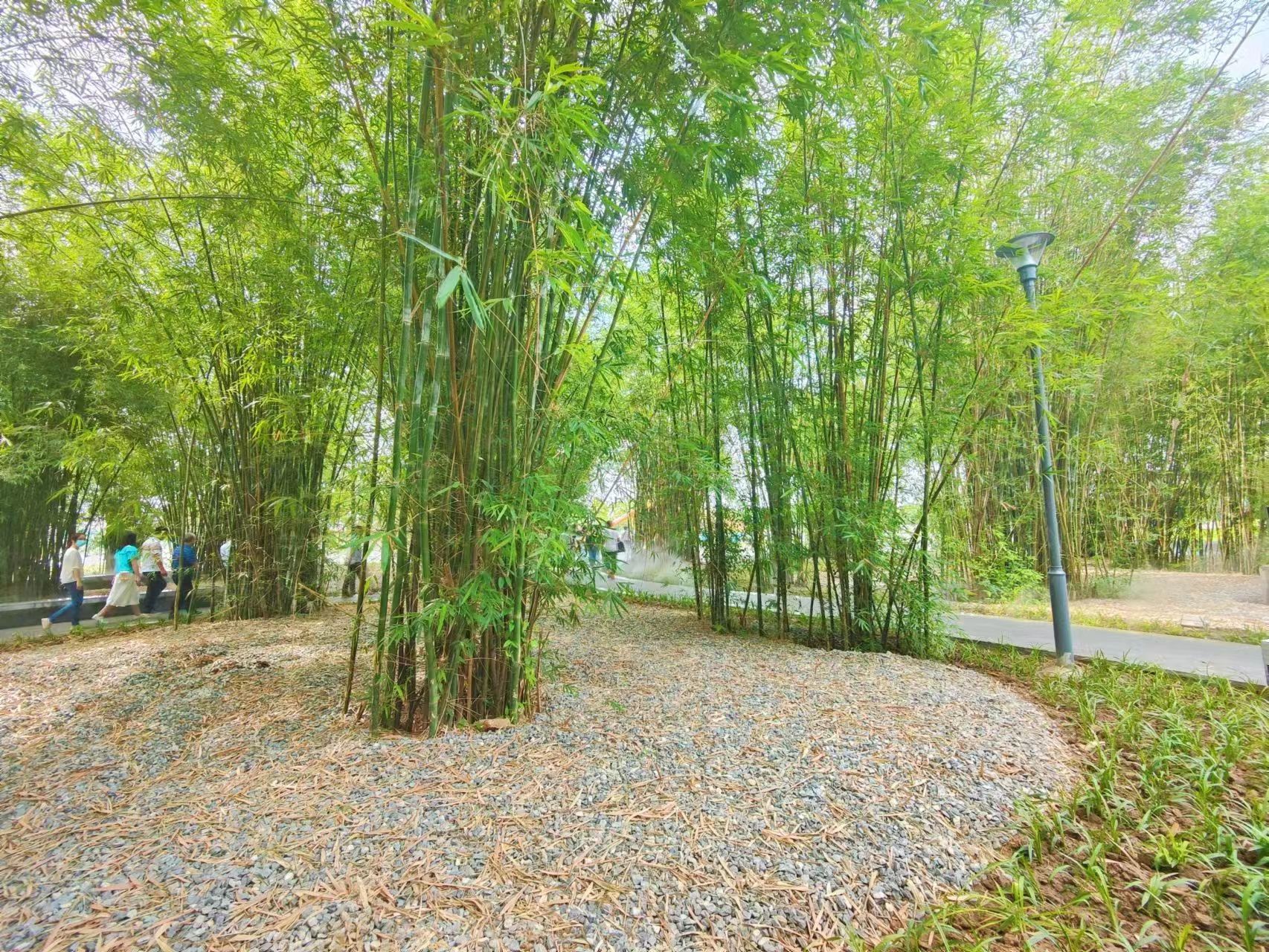 桂城指什么地方 桂城是佛山哪个区