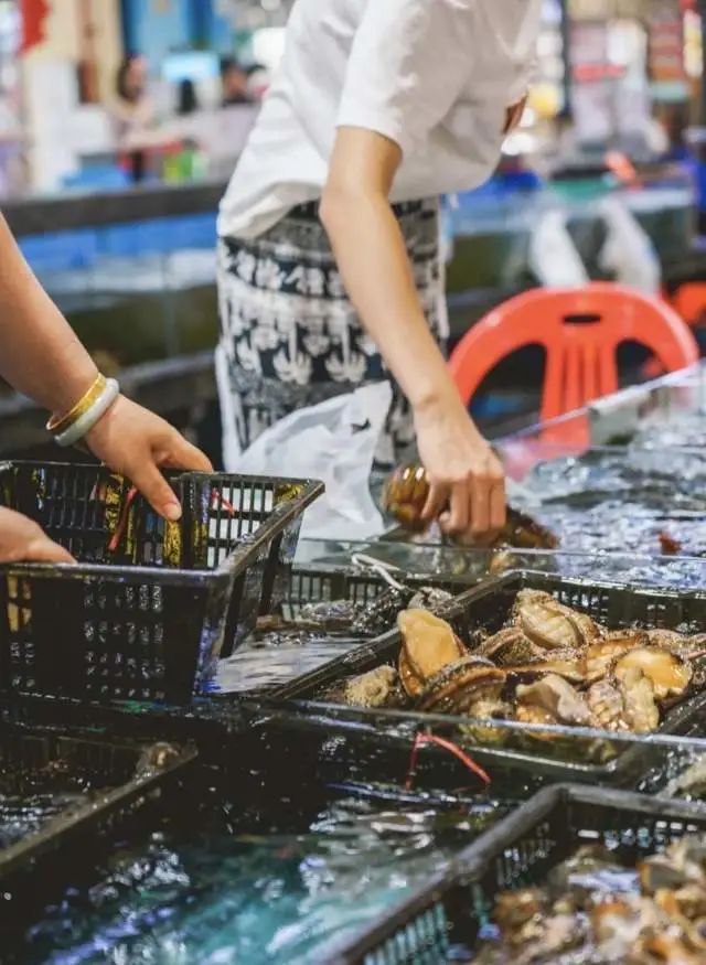 向往的生活黄磊和当地人攀谈原来去海南吃海鲜门道这么多